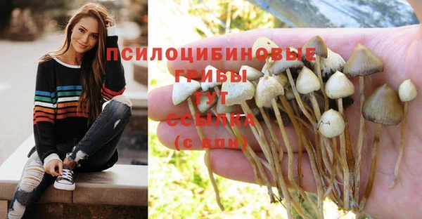 MESCALINE Нязепетровск