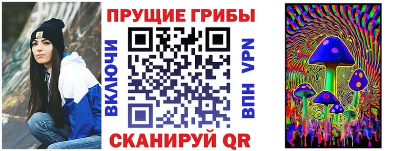 Псилоцибиновые грибы Cubensis  Новочеркасск 