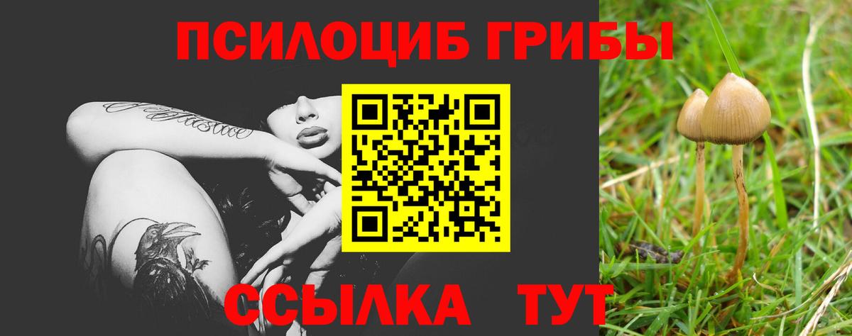 Псилоцибиновые грибы мухоморы  Вход с VPN  Новочеркасск 